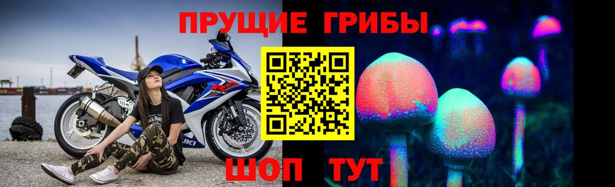Псилоцибиновые грибы ЛСД  Вход с VPN  Куйбышев 